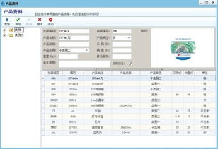 酒类批发销售进销存软件开发指南 打造高效供应链管理系统